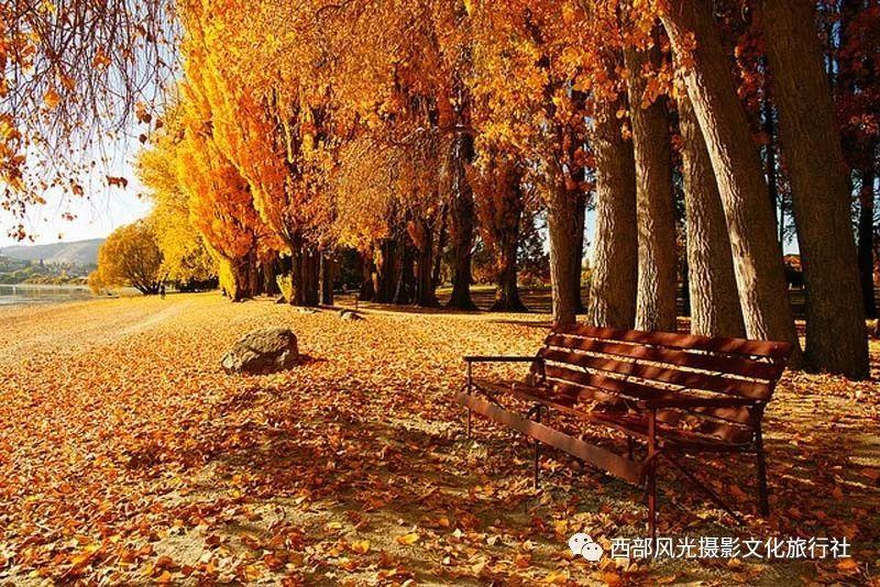 探寻爱情真的会长久吗?,发现爱情真的会长久吗?的秘密